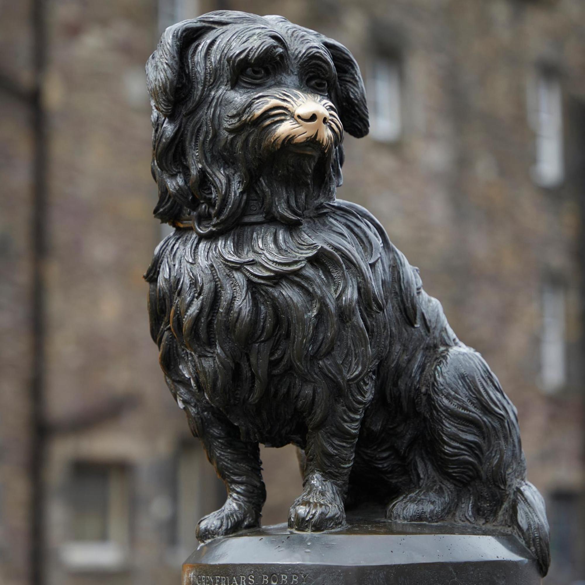 George IV Residence Edinburgh Bagian luar foto